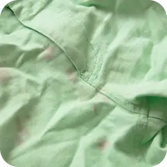 画像：しみ抜き前