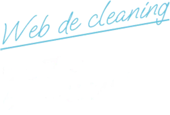 Web de cleaning ウェブでクリーニング